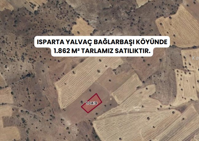 ISPARTA YALVAÇ BAĞLARBAŞI KÖYÜNDE 1.862 M² TARLAMIZ SATILIKTIR. - ISPARTA YALVAÇ fotoğraf 6